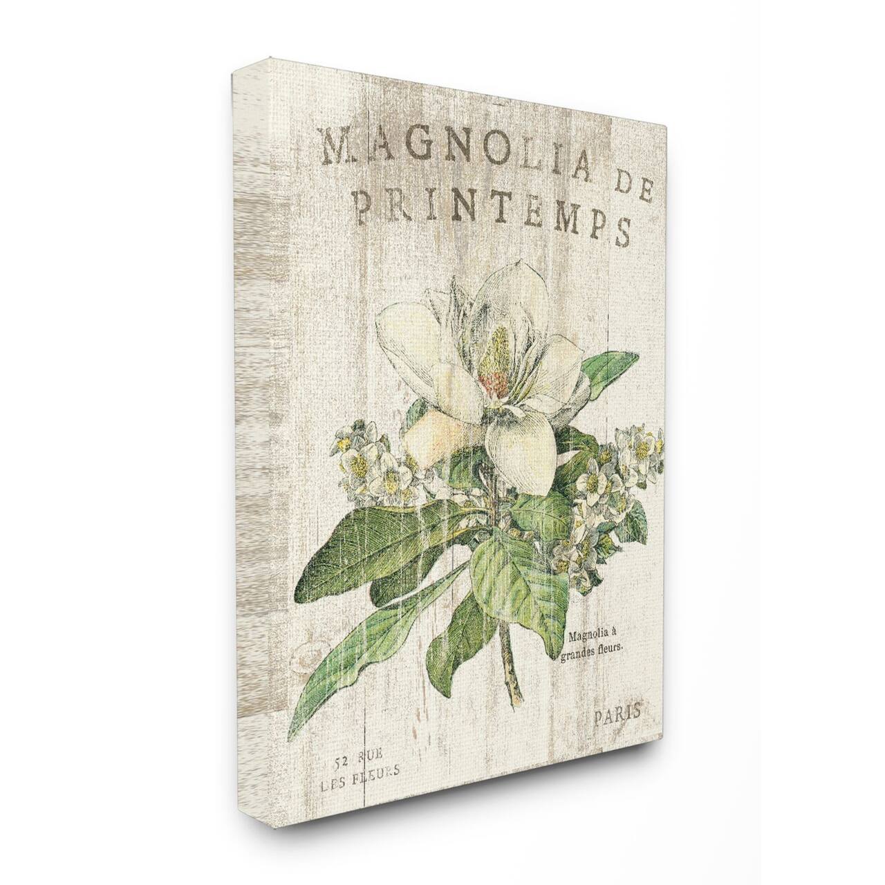 Stupell Industries French Magnolias In Spring Canvas Wall Art